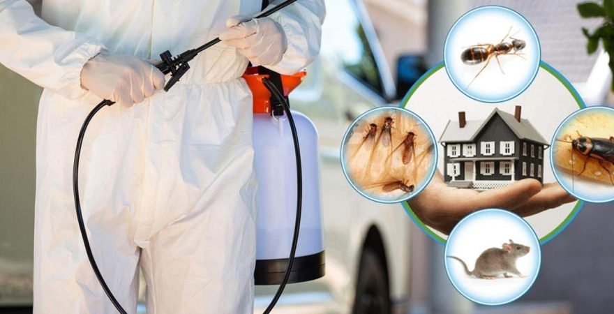 Gökçeada Böcek İlaçlama