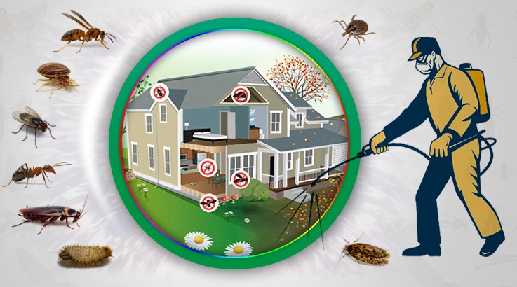 Gökçeada Böcek İlaçlama