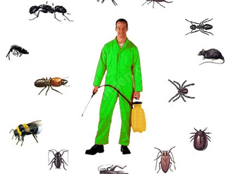 Gökçeada Böcek İlaçlama